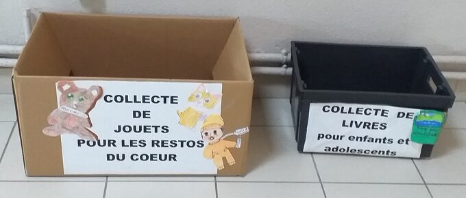 images pour site la collecte des jouets et des livres1 (2).jpg